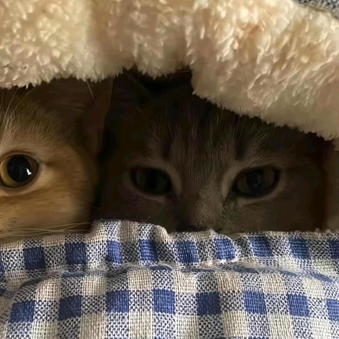 超级无敌宇宙霹雳爆炸天下第一暴龙战士