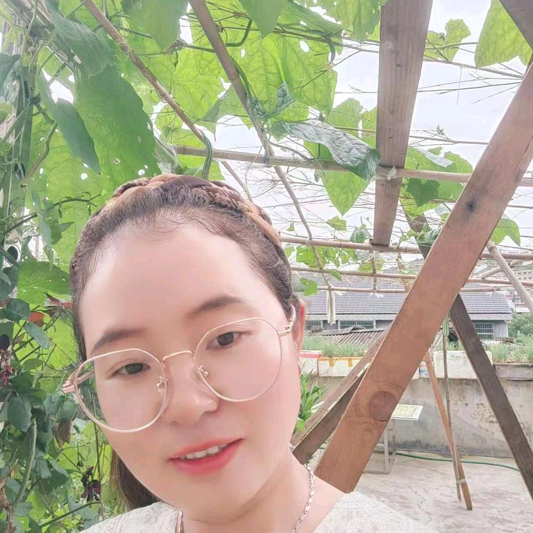 鑫鑫妈（学习中）