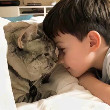 沈城没钱刹（复活中）