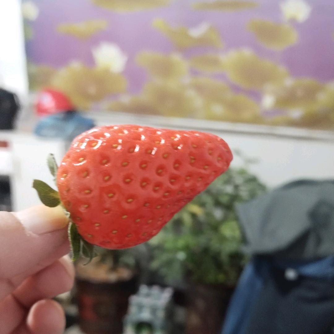 小舍得