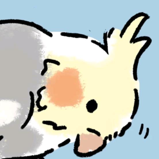 凯凯