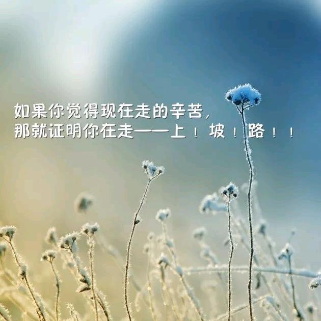 ꫛꫀꪝ陌生·人꧔ꦿ༉