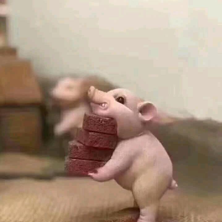 笨男孩