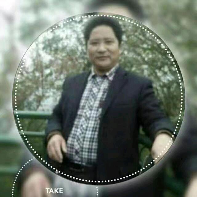 逐风的向日蔡