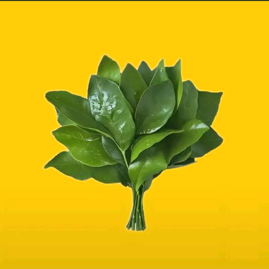 淡漠