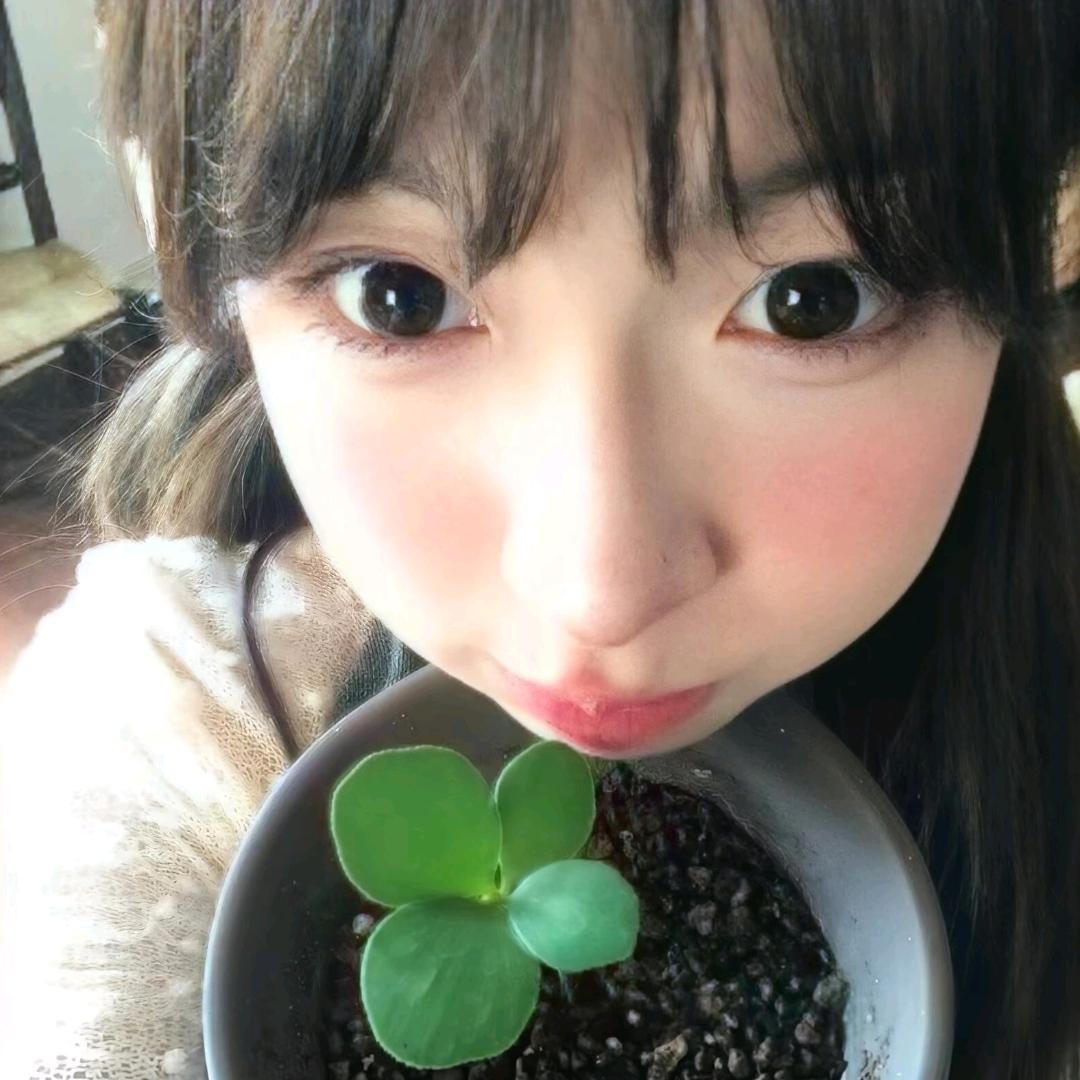 睡觉大王