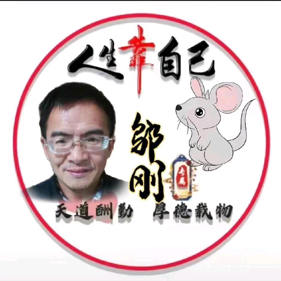 刚哥（渝：垫）