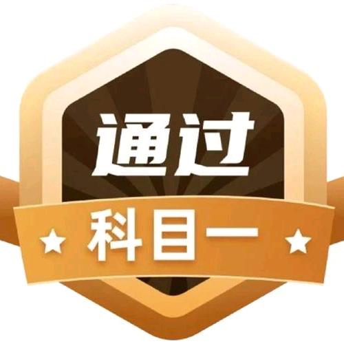 专业理论培训骆老师