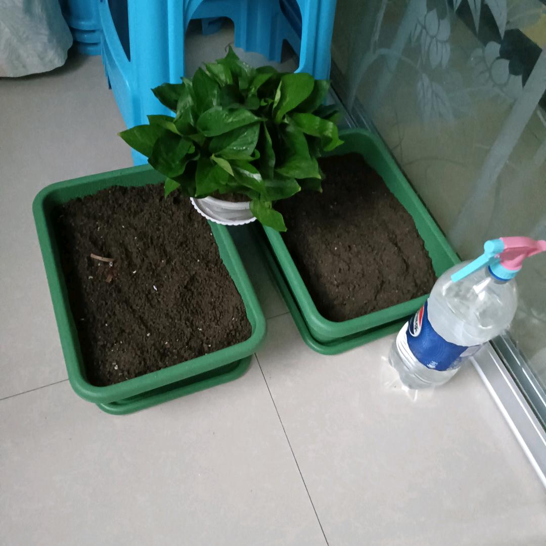 秋天的诉说
