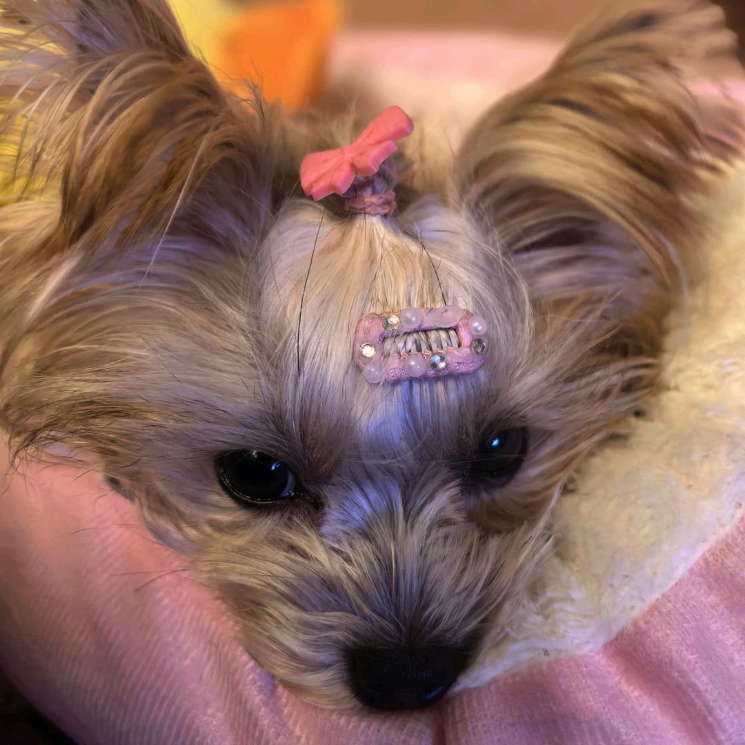 牵着李逵逛厕所