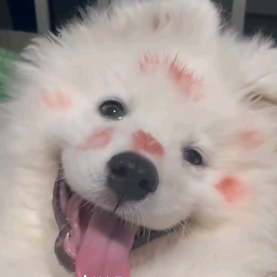 空雪泊