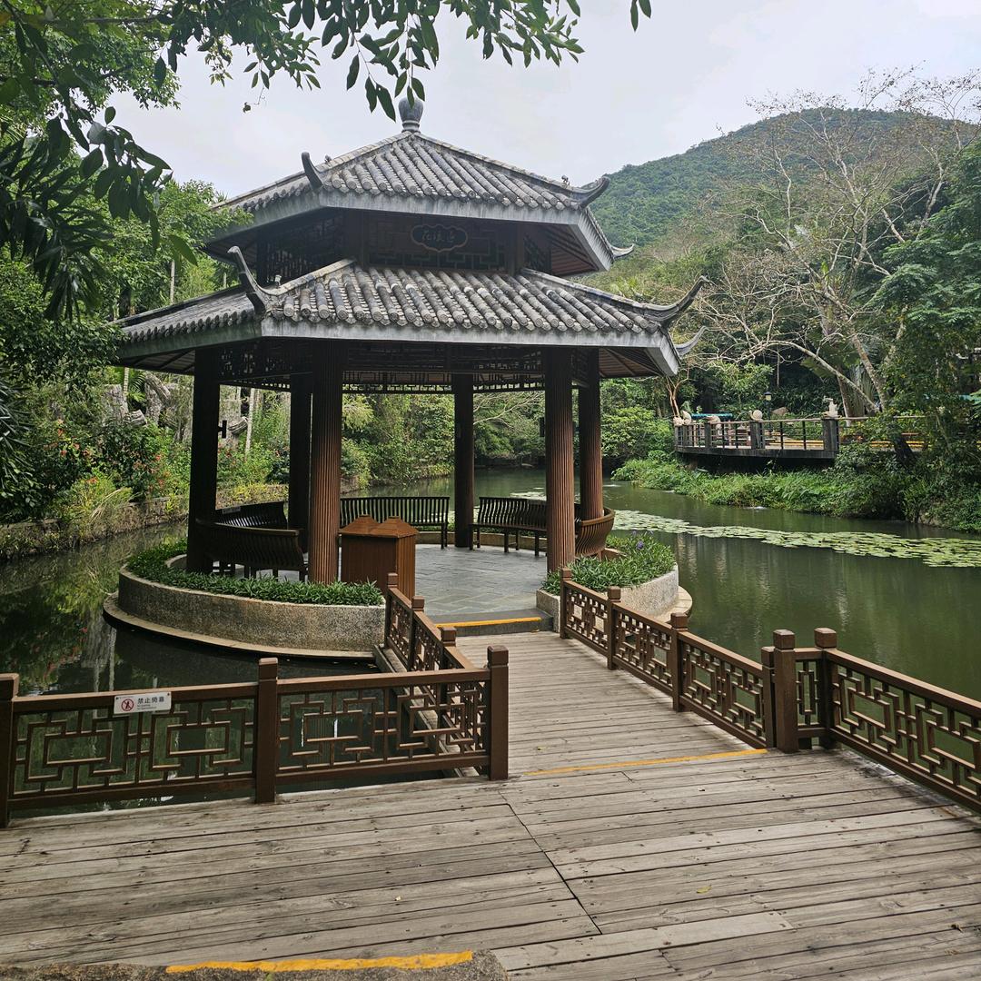 中睿国际贸易