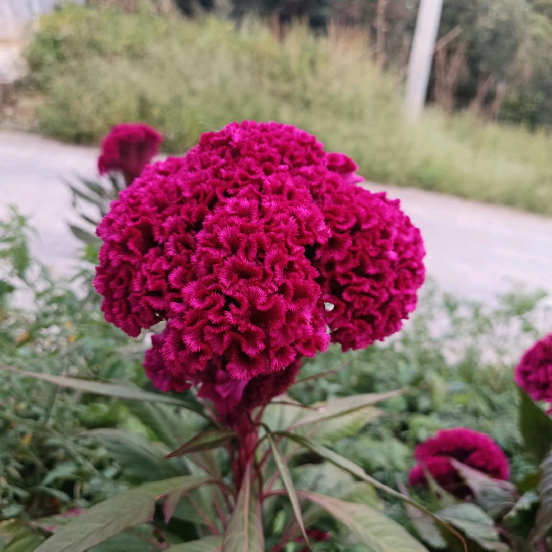 萍水相逢