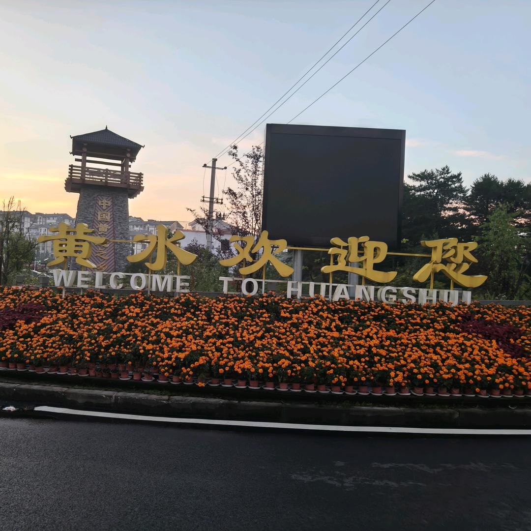 ➹『卵宝』➷⁵²⁰