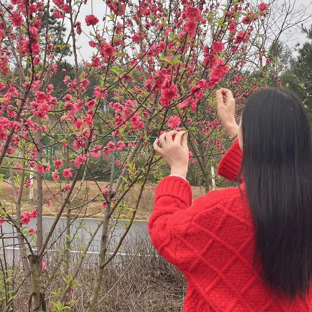 ໑ຼₒ₂₃ღ᭄岁月静好🕊꧔ꦿ