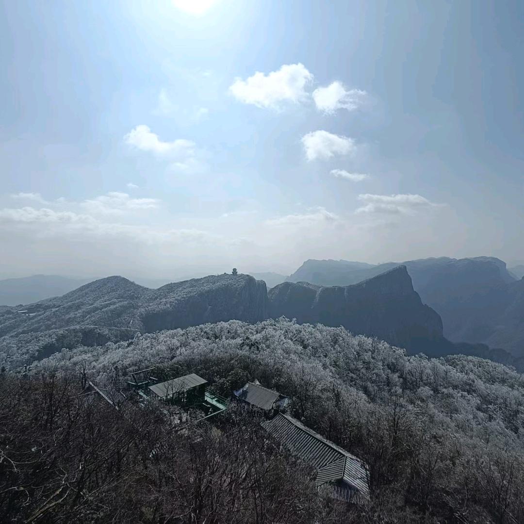 预支明天