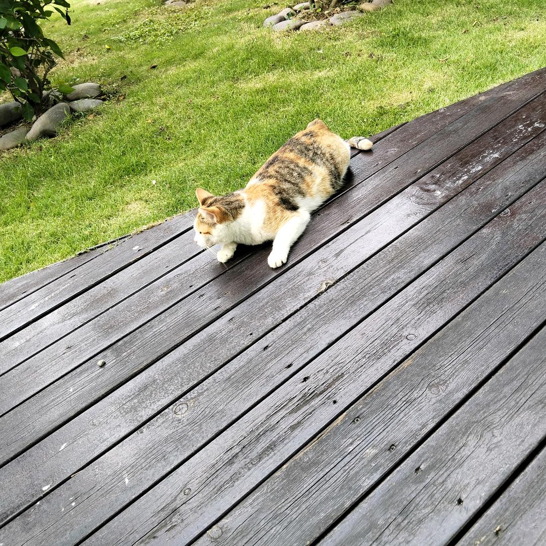 LiLi