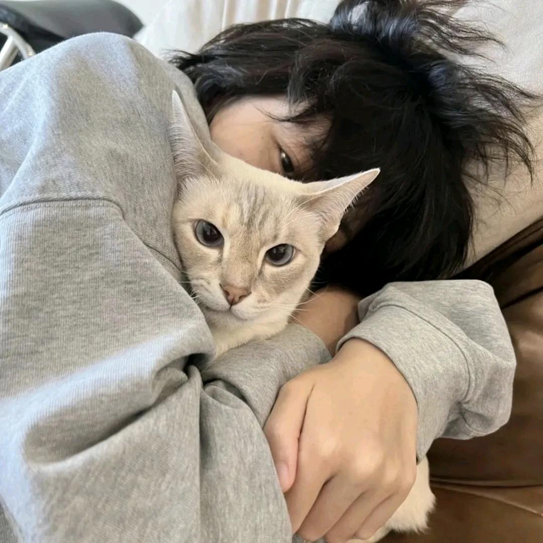 假惺惺『🏠』
