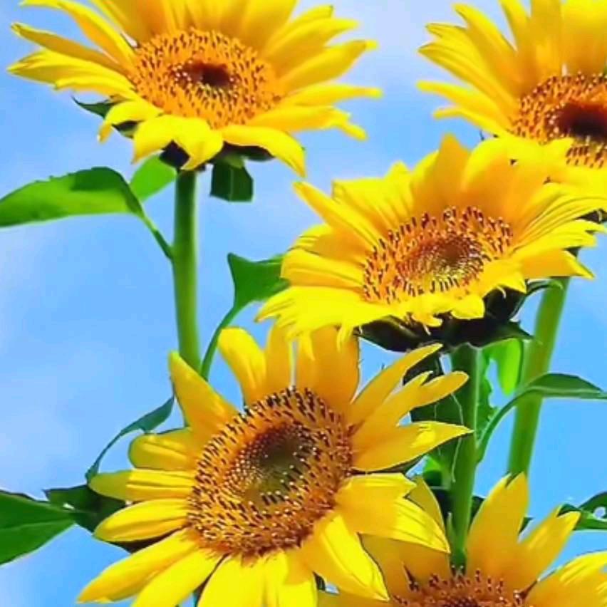 不懂没事现实让懂