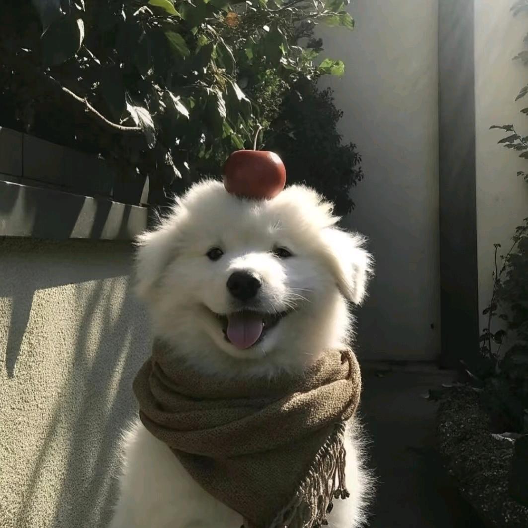 快樂多一點ᰔᩚ