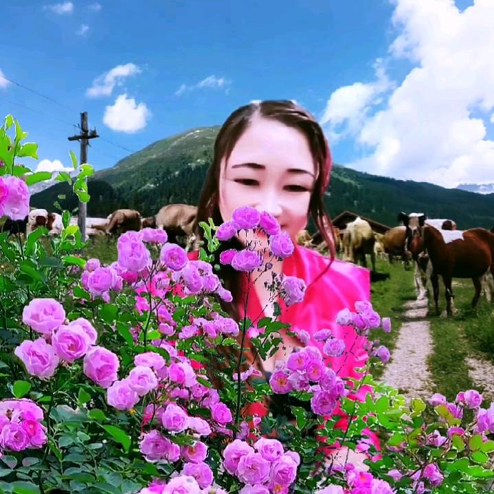 琪珍姐