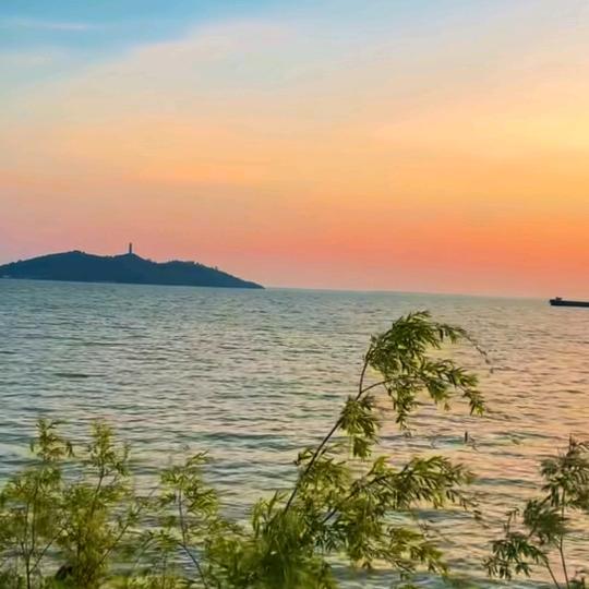 沧海