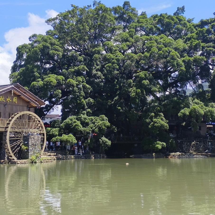 站在海边仰望天空