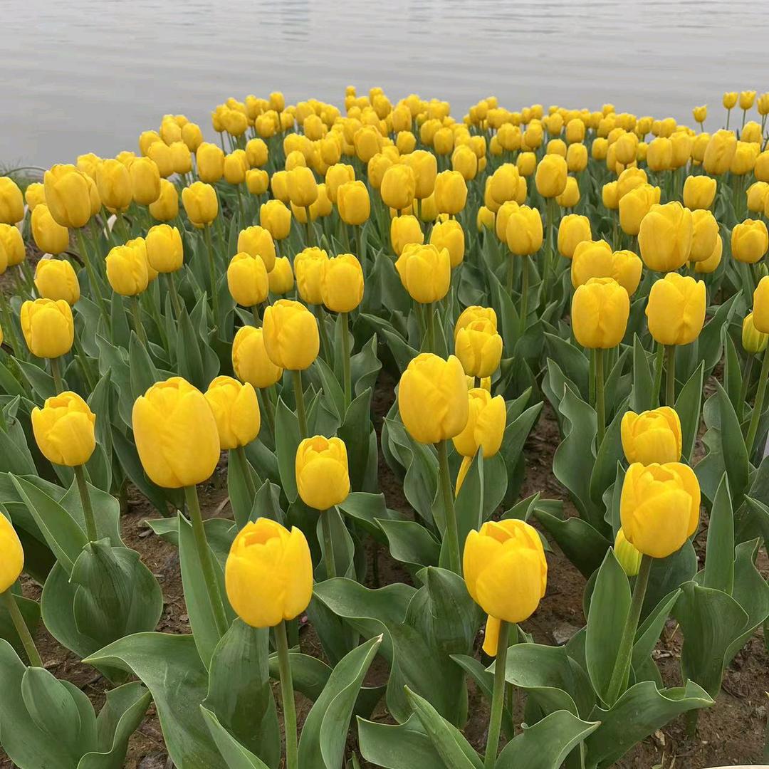 最熟悉的陌生人