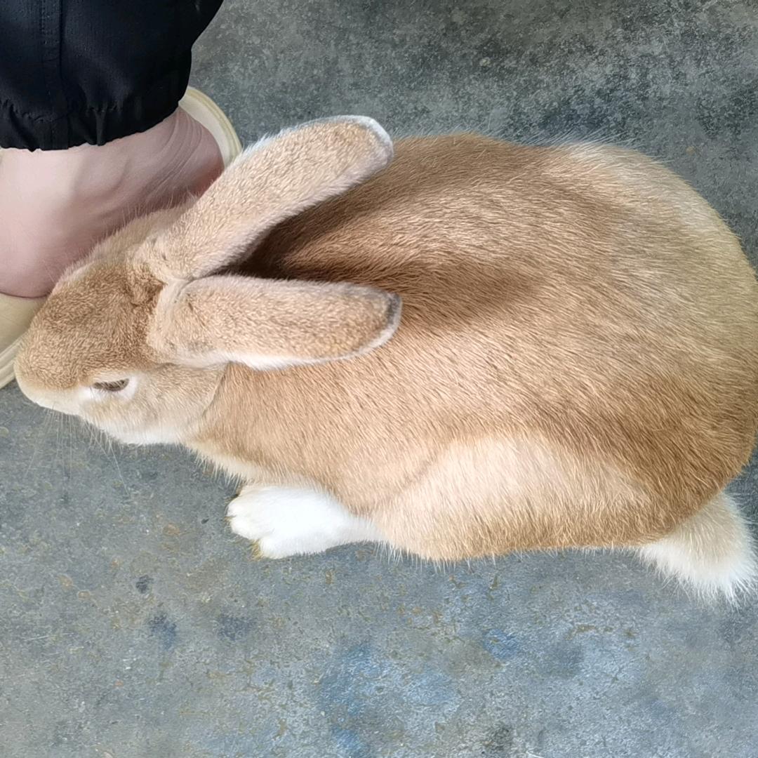一生的执着