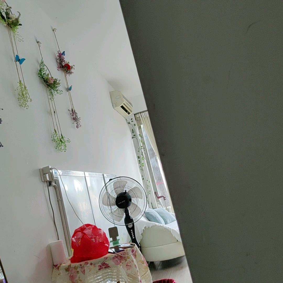 万晴