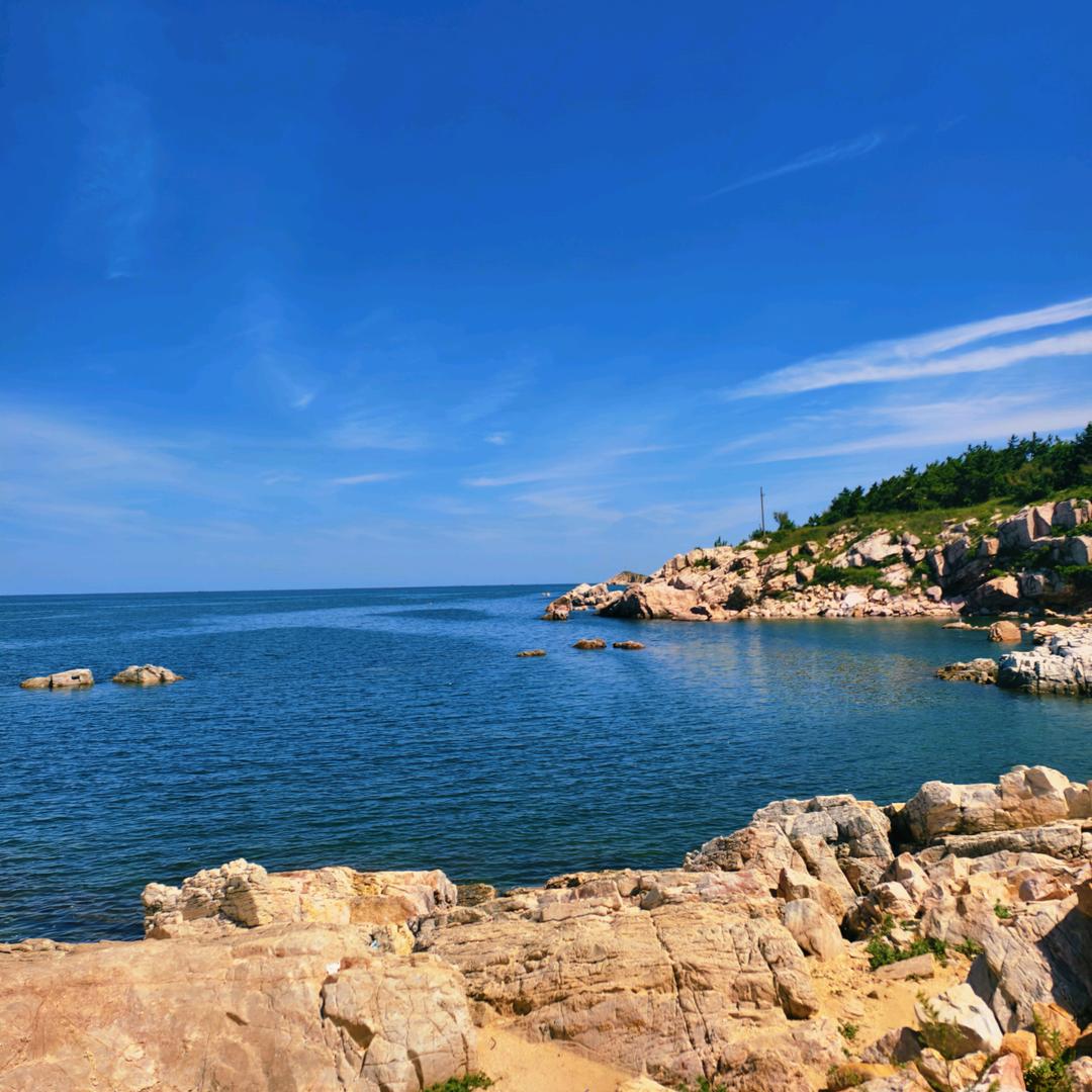 小   董  呀  💞