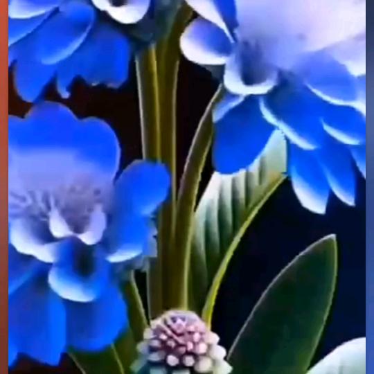 爱跳舞
