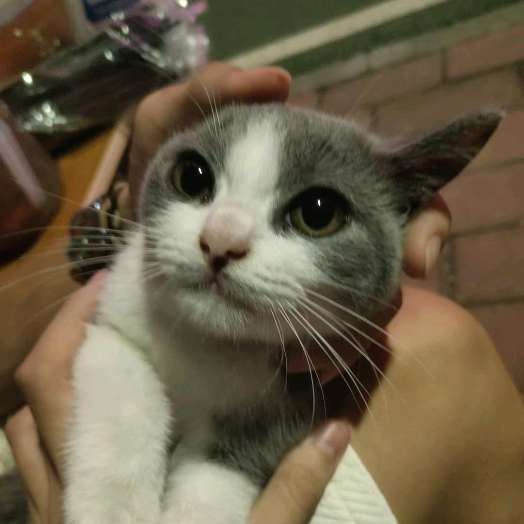看你星晴.