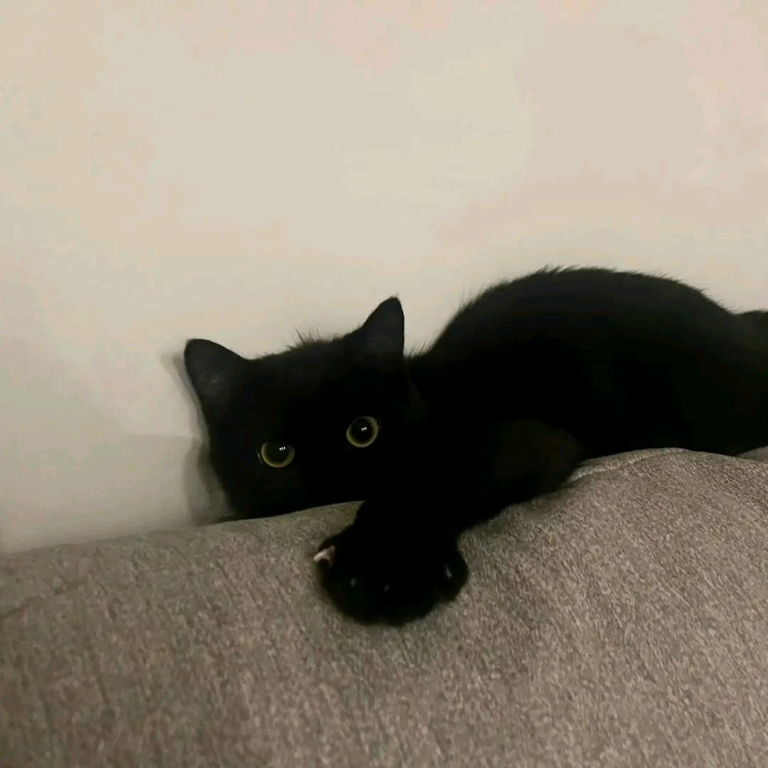 闻江