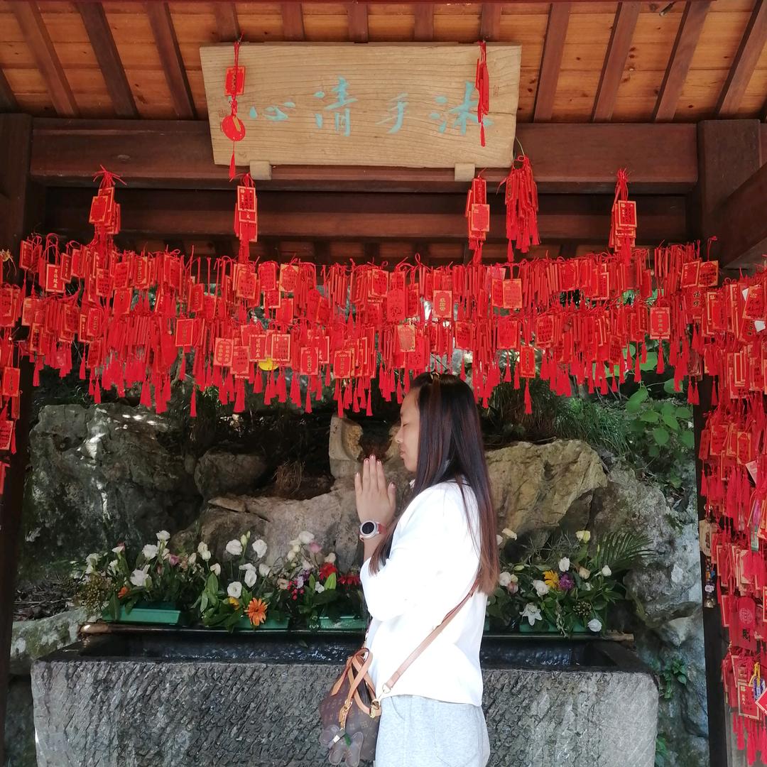 👑🐰兔兔兔🐰👑