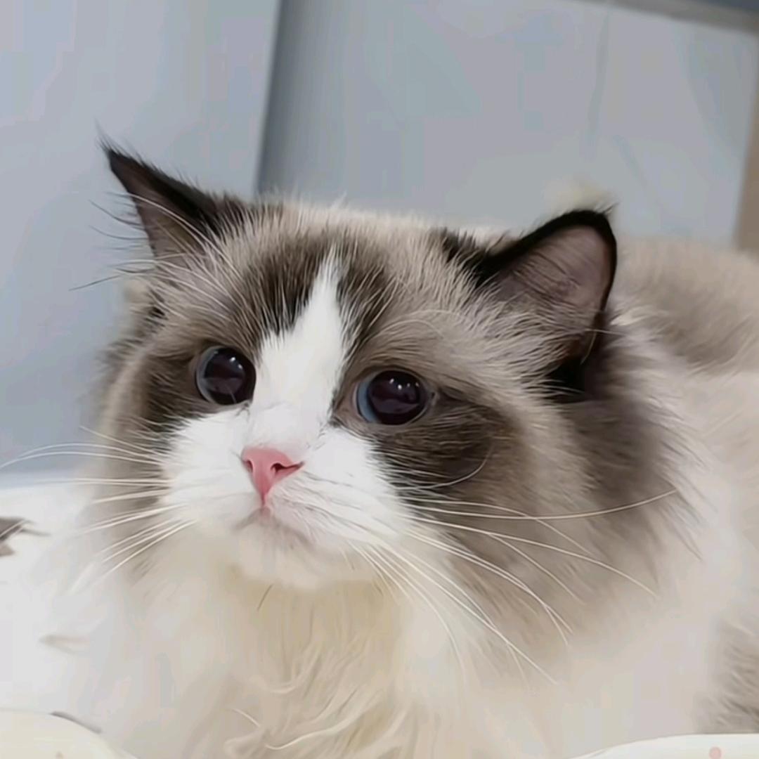 没错(●—●)莪就是大懒虫