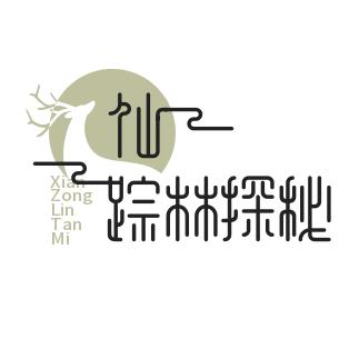 仙踪林探秘