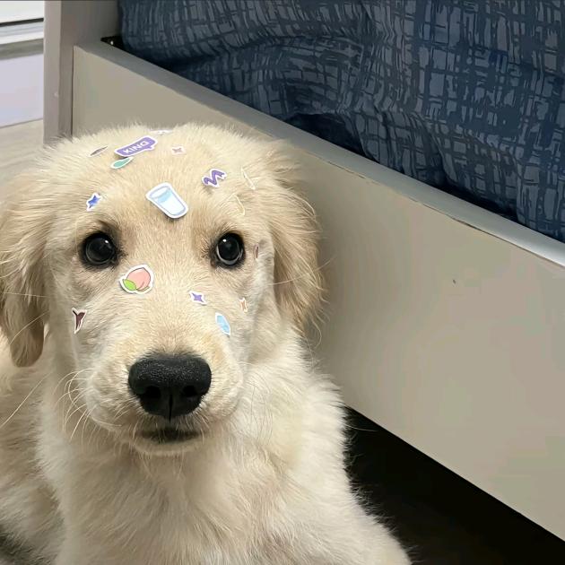 我不想上工程制图