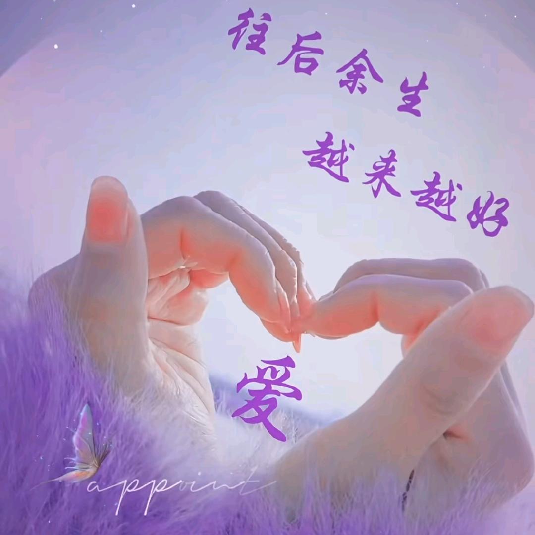 自由随心