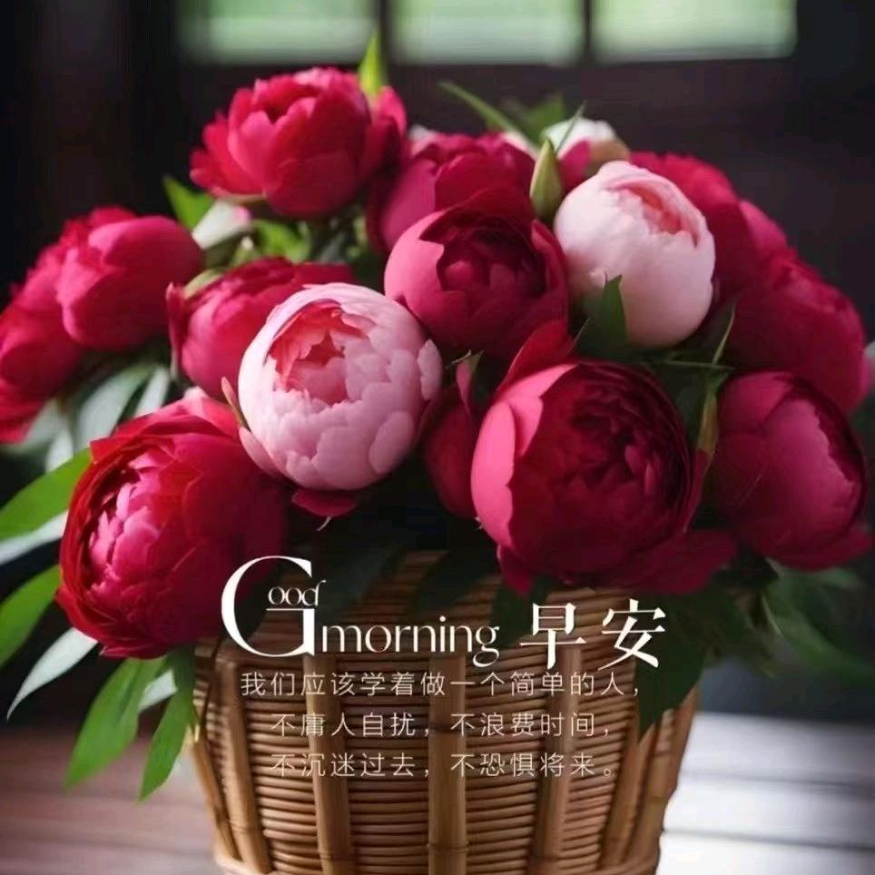 溶儿月牙儿年度🍅🍅🍅❤️💛