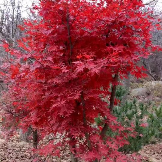 生活有你甜美美