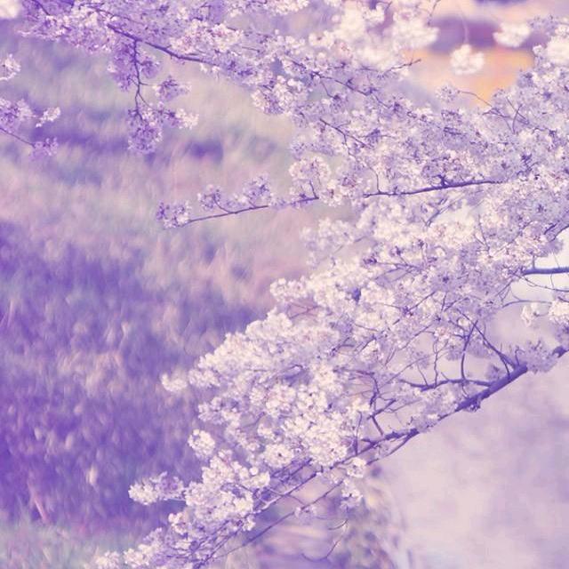 (减肥版)想吃火锅烧烤炸串小龙虾螃蟹蛋糕