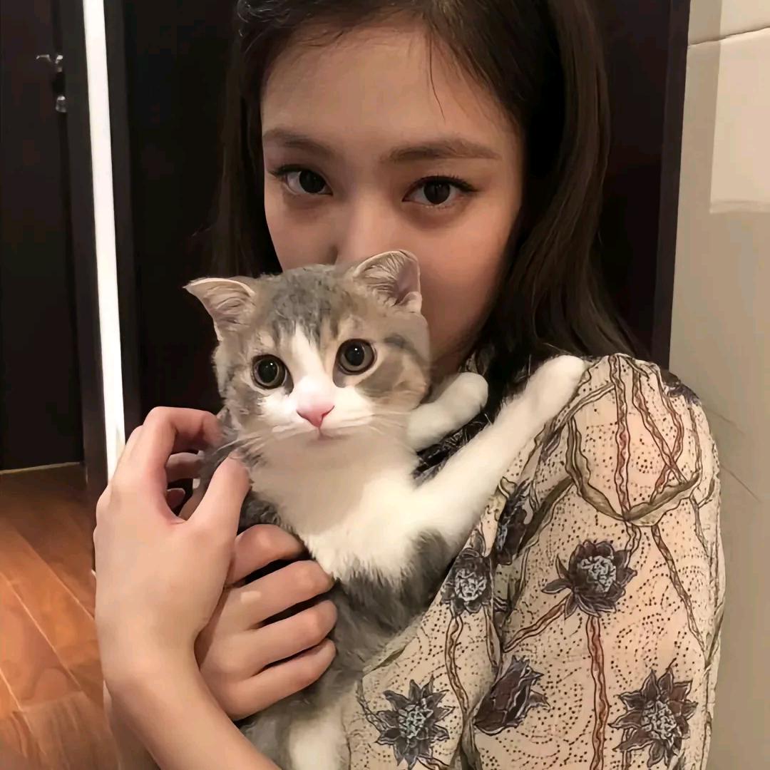 糖了个糖🐰（迟到大王）