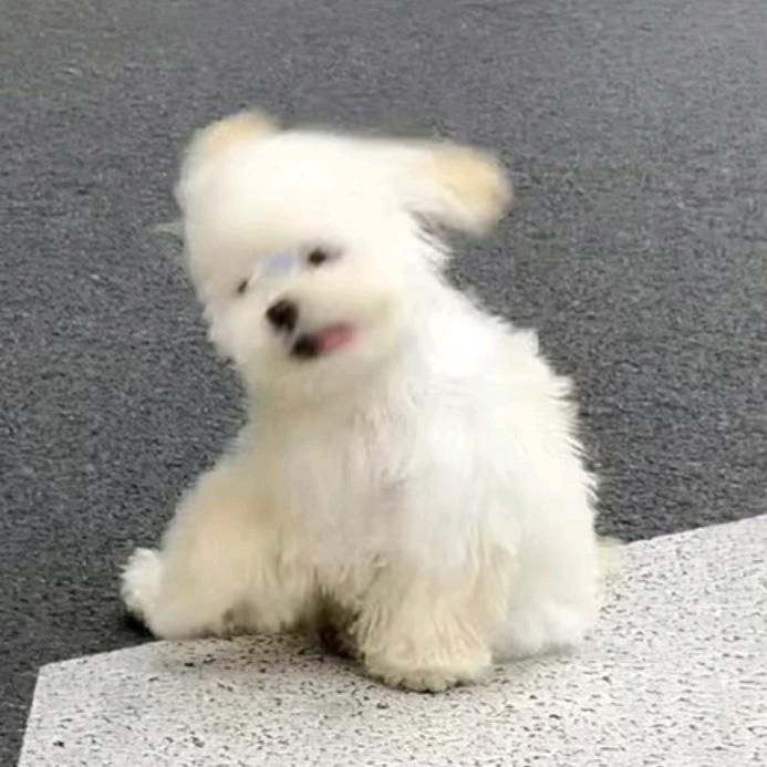 一宝