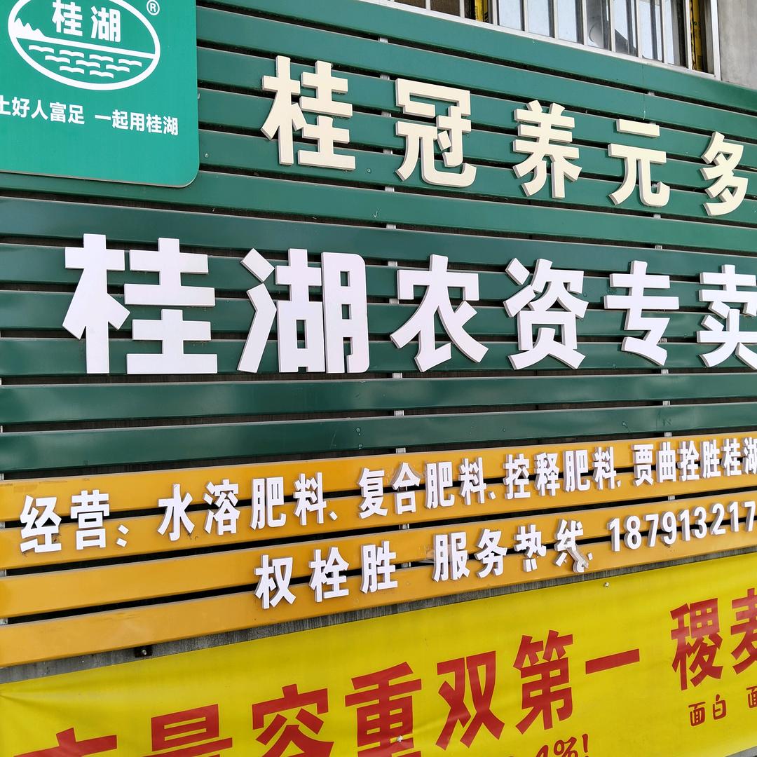 贾曲桂湖农资店小权