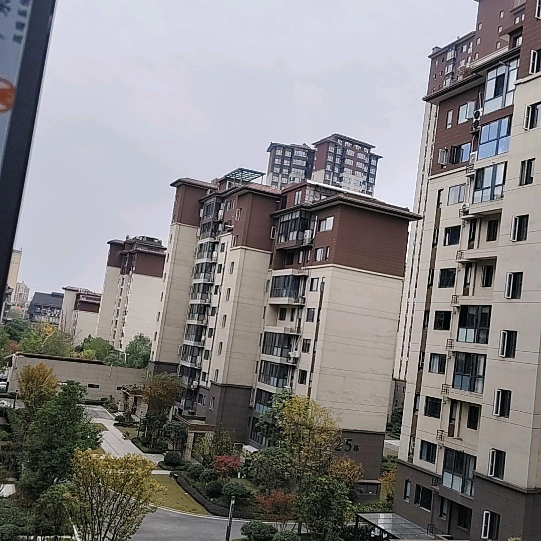 今生无悔