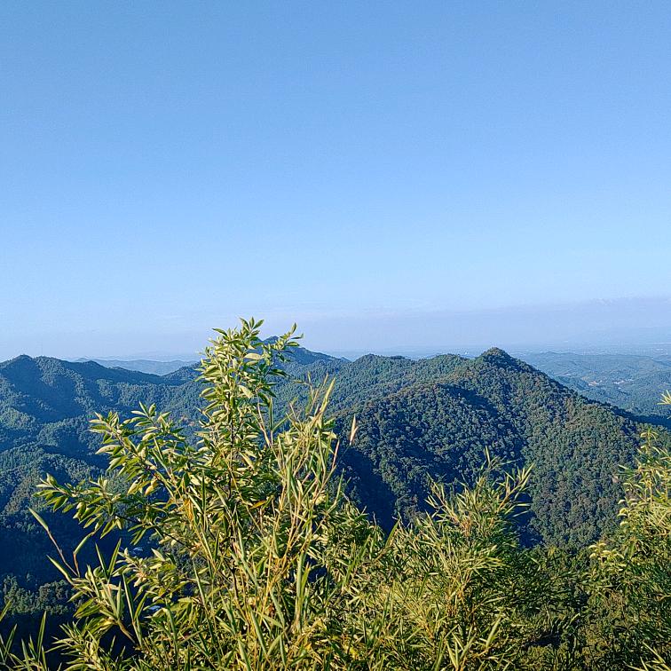重新启航