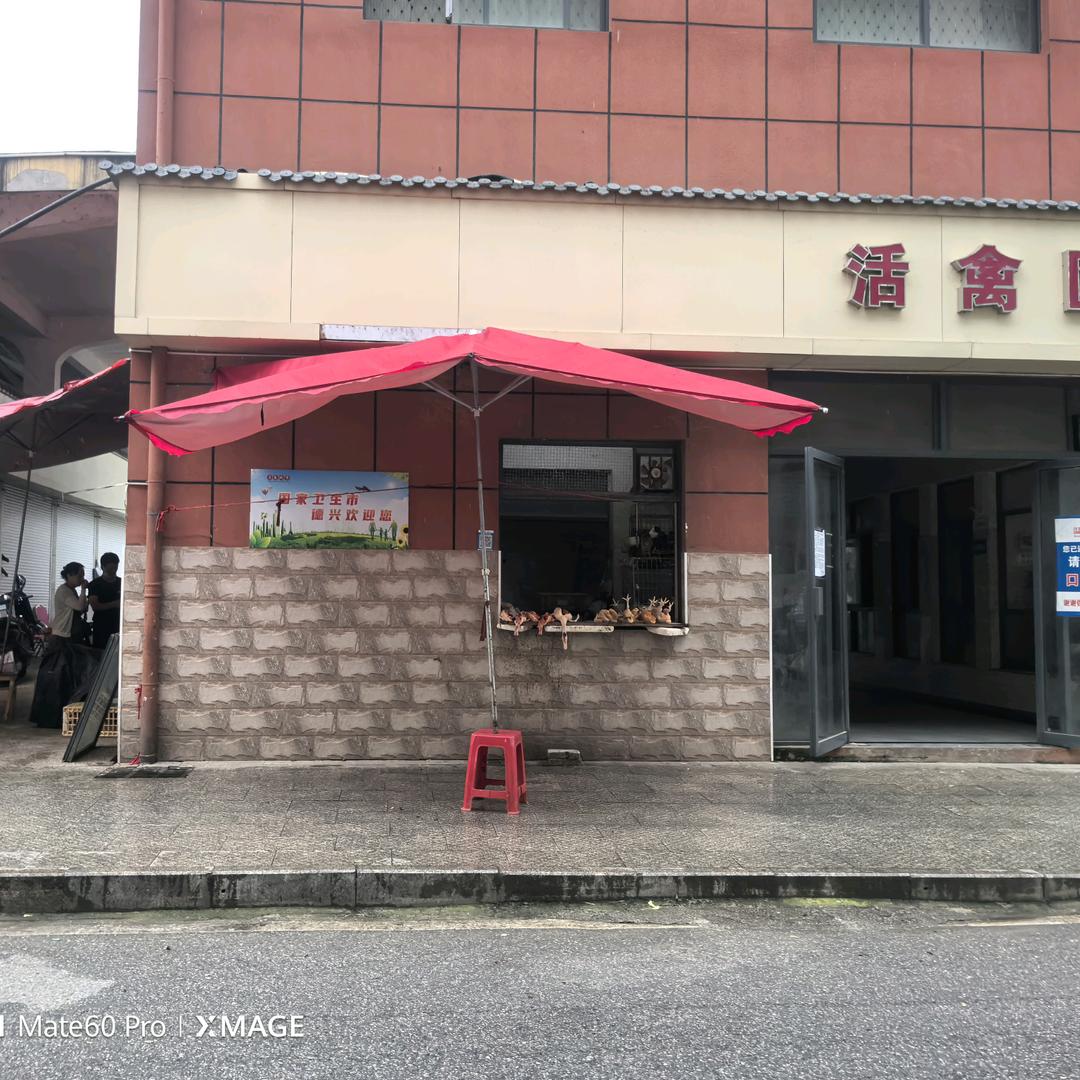 宇墨（德兴鸽子鸡鸭活禽批发零售）