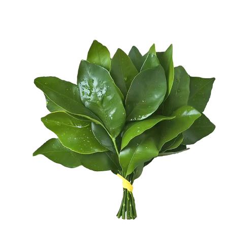 n 哈哈