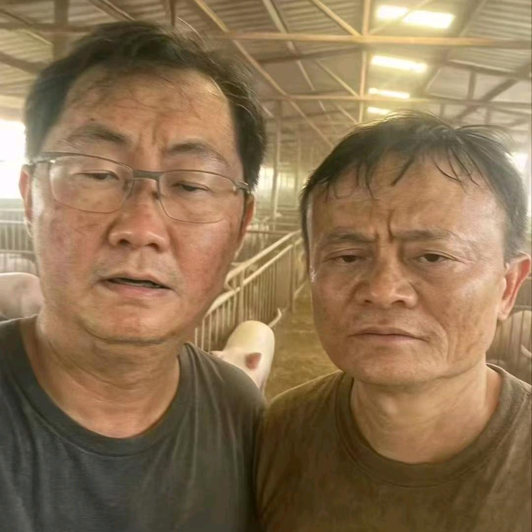 新能源搬砖人【老宋】